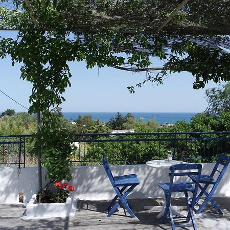 Villa Stegna Breeze Archangelos  Exterior foto
